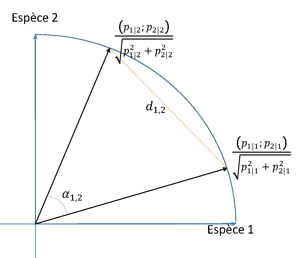 Distance de corde entre deux communautés représentées dans l’espace engendré par deux espèces. La distance \(d_{1,2}\) entre les deux communautés est la longueur de la corde qui relie leurs vecteurs de composition normalisés sur le cercle de rayon 1. C’est aussi deux fois le sinus de l’angle \({\alpha_{1,2}}/{2}\) formé par les deux vecteurs de composition des communautés.