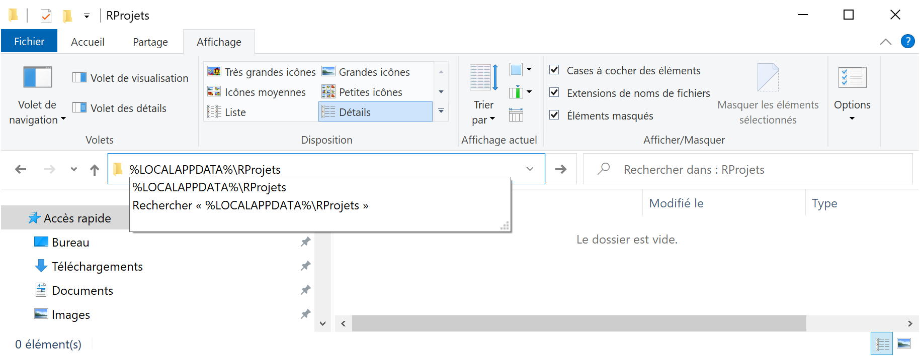 Folder for projects under source control, on Windows.