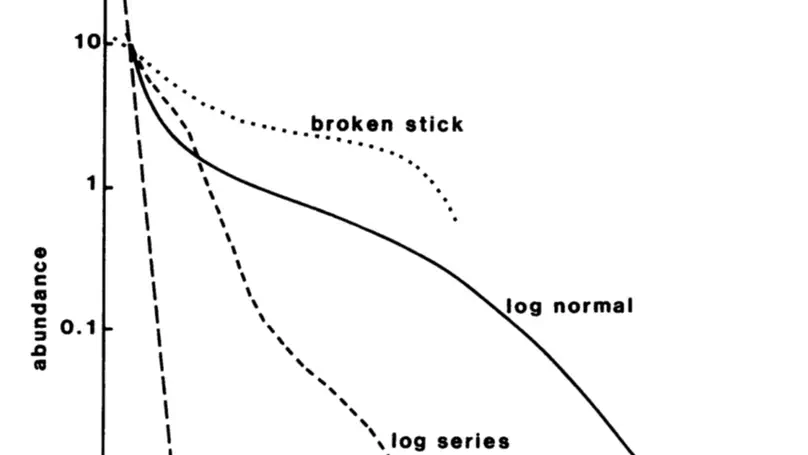 Species Abundance Distributions